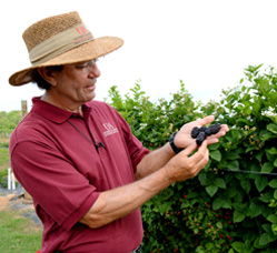 John Clark, breeder