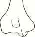 picture11