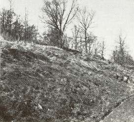 picture4