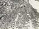 picture5