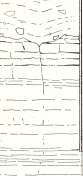 picture6