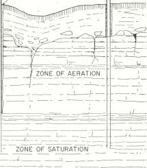 picture8